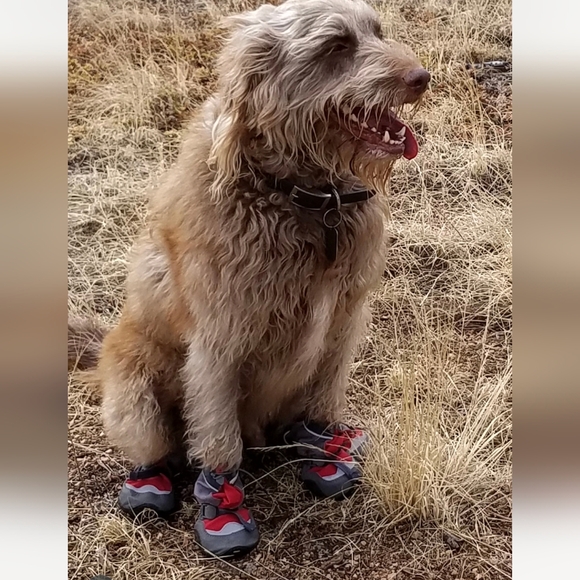 RuffWear Other - Ruffwear Polar Trex Dog Snow Boots
